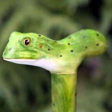"Фото трости с зелёной лягушкой"