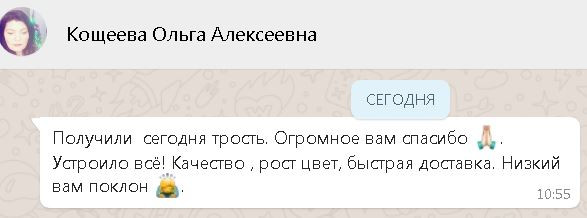 Трости Держава отзывы